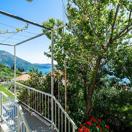 Apartments Klis ムリニ エクステリア 写真